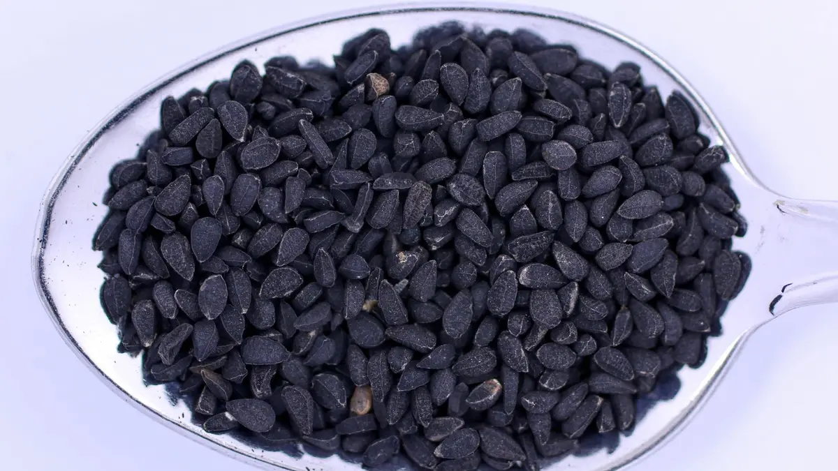 Portada del artículo: Aceite de semilla negra: qué es y para qué sirve