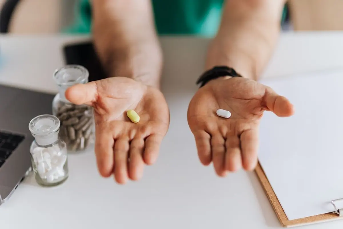 Portada del artículo: Musfort o Vitalfit: cuál se ajusta mejor a tu rutina