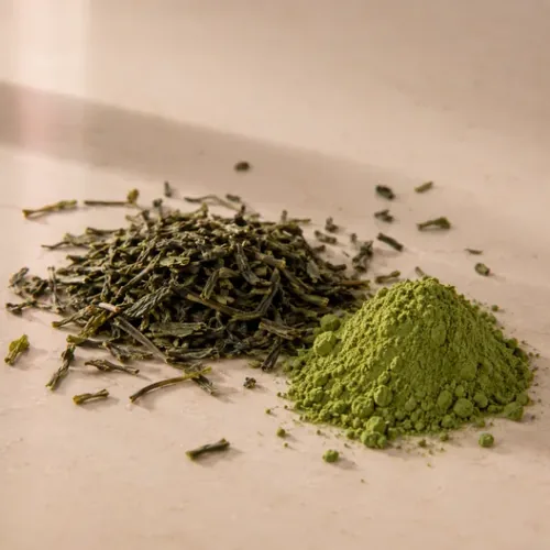 Té verde — ingrediente de Vitalfit